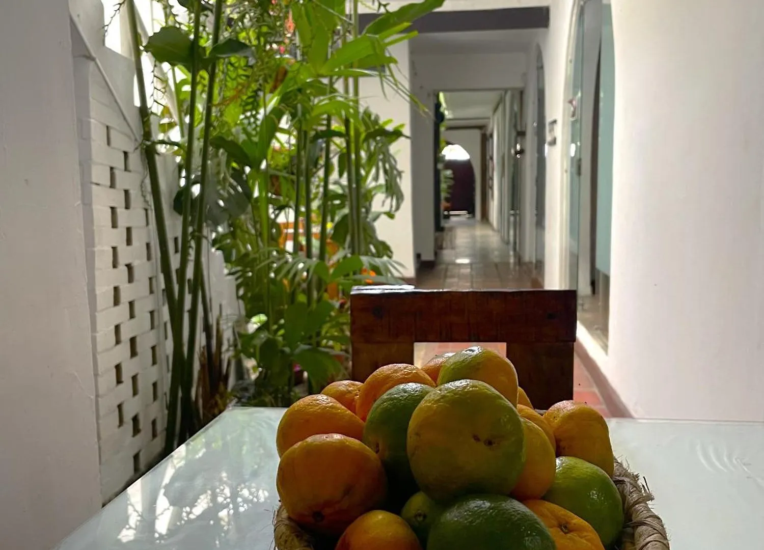 民宿 Hostal Chontaduro Casa Colonial En Pleno Centro Historico De Cali- Se Alquila La Casa Entera Para 12 O 13 Personas O Por Habitaciones